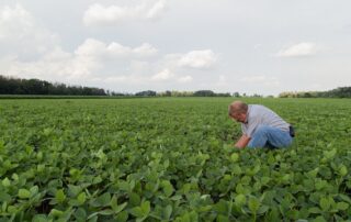 10-agronomics-six-ways-to-amp-up-soybean-scouting