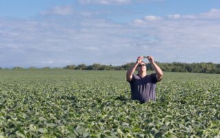 19-evaluating-soybean-stands-and-determining-replant_0