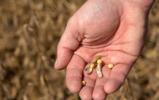 20-illinois-soybean-association-isa-market-analysis