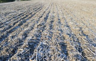 21-agronomy-managing-crop-residue