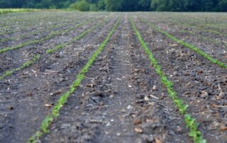 28-agronomy-five-questions-to-ask-on-soil-health-in-the-spring_1
