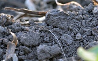 29-plant-soil-back-to-the-basics-details-matter-for-productive-soils
