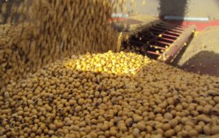 31-agronomy-soy-checkoff-discusses-how-more-protein-brings-more-value