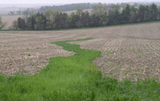 6-plant-soil-health-reducing-gully-erosion-in-crop-fields-article-2_0