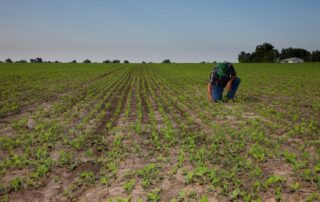 7-when-to-plant-illinois-soybeans-soil-ready