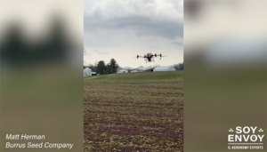 planting soybeans with a drone
